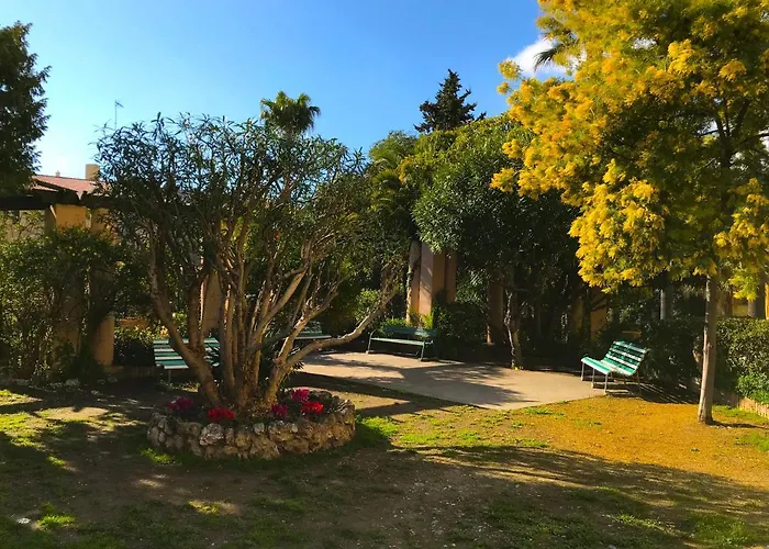Le Louvre-terrasse-centre